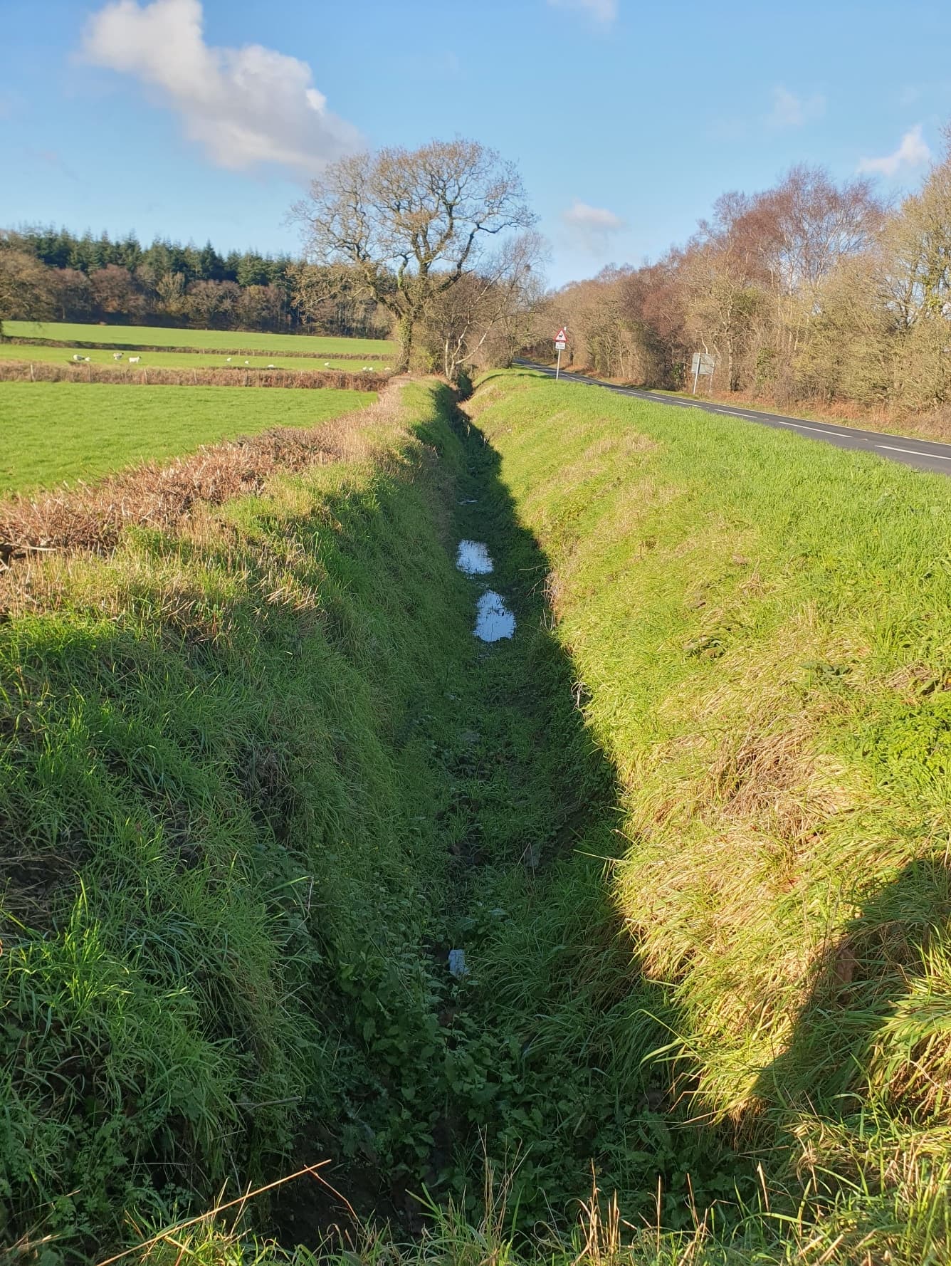Verge drainage and grip digging works on A3052